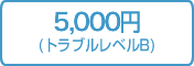 5,250円(トラブルレベルB)